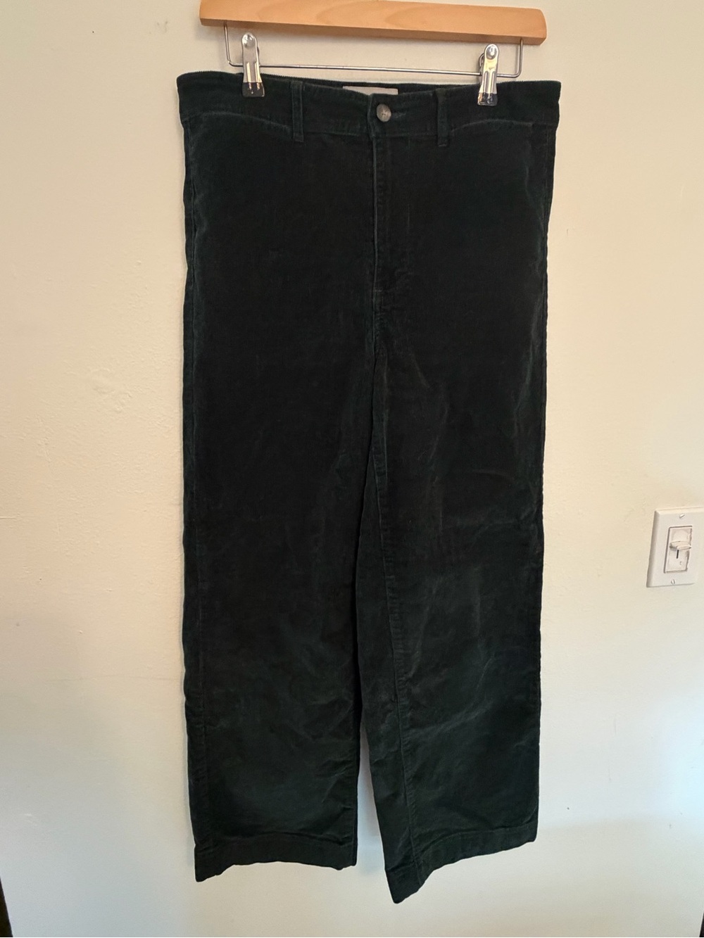Everlane women’s Dark green Corduroy wide leg pants size 10